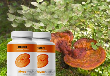 Reishi Mycomedica